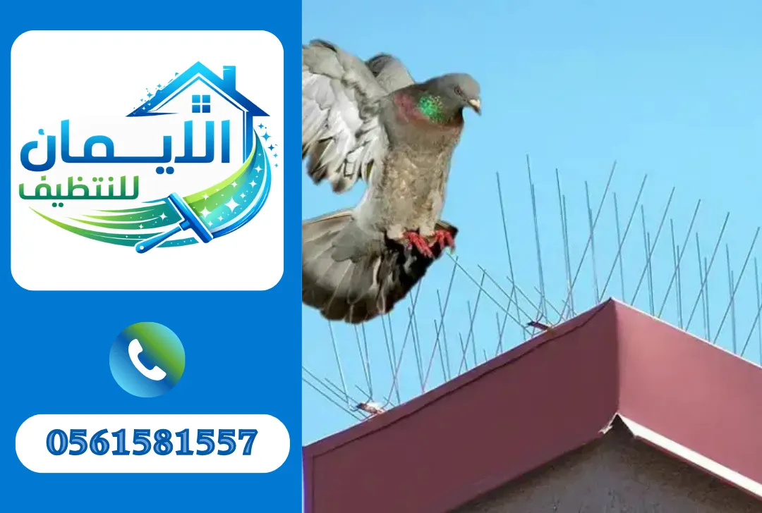 تركيب طارد حمام في دبي