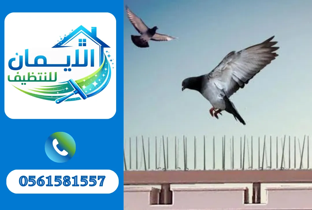 تركيب طارد حمام في العين
