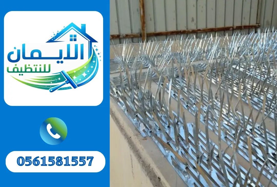 تركيب طارد حمام في دبي
