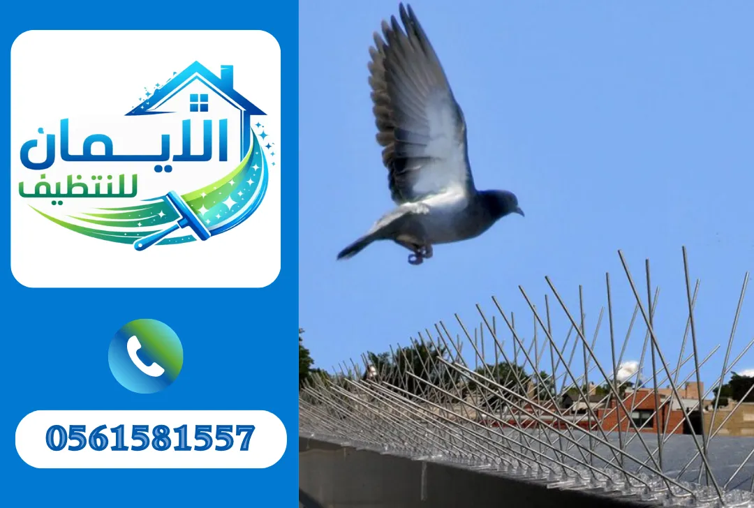 تركيب طارد حمام في العين
